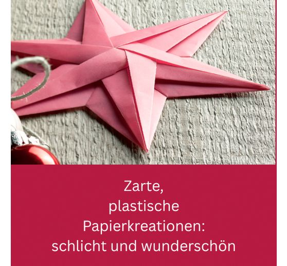 Livre &laquo; Zarte Origamisterne (kreativ.kompakt.) &raquo;