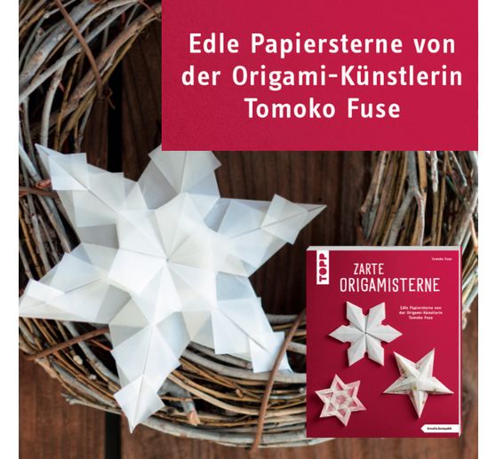 Livre &laquo; Zarte Origamisterne (kreativ.kompakt.) &raquo;