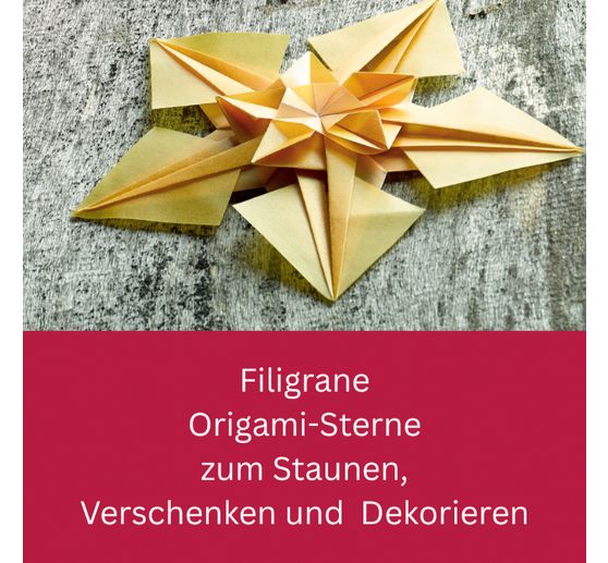 Livre &laquo; Zarte Origamisterne (kreativ.kompakt.) &raquo;