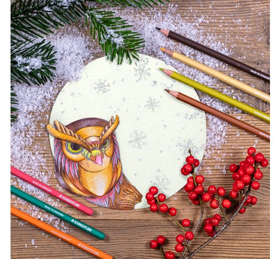 STAEDTLER Erasable coloured pencils "Noris erasable"
