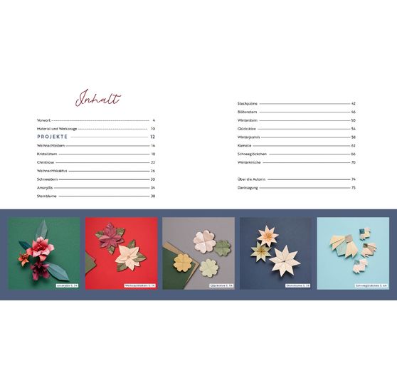 Buch "Origami - Winter Flowers"