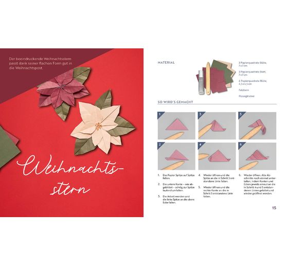 Buch "Origami - Winter Flowers"