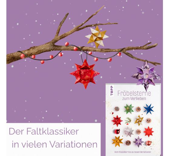 Buch "Fr&ouml;belsterne zum Verlieben"