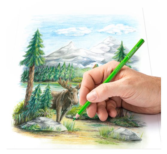 STAEDTLER Buntstife im Metalletui