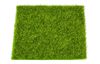 Grass mat