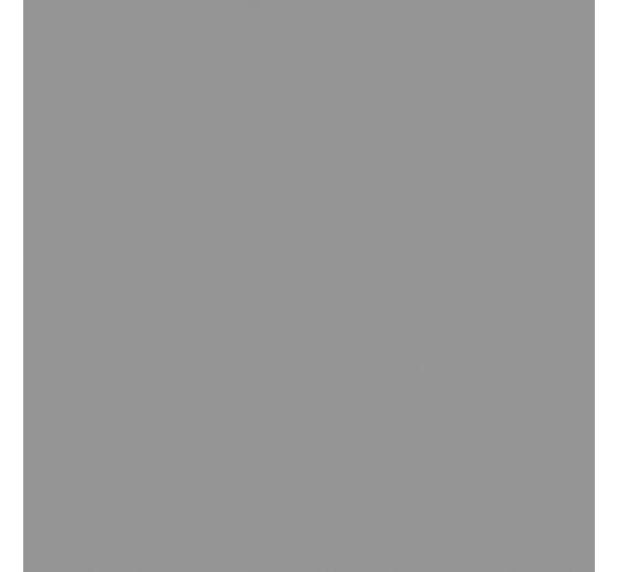 Acrylic paint Solo Goya Triton Acrylic Basic, 750 ml