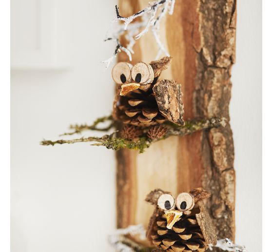 VBS Mini-Rindenscheiben "Rund"