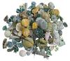 Exotic Potpourri