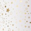 Motif cardboard "Stars" Gold