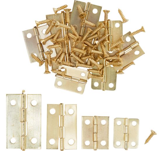 Hinges with screws