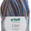 Gründl Wol "Lisa Premium Color" Bruin/Beige/Blauw