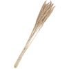 Dried flowers "Sanmuga Grass", L approx. 80 cm Old White