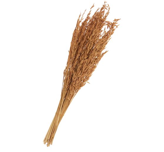 Droogbloemen "Oat Grass", L ca. 75 cm