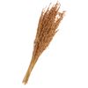 Droogbloemen "Oat Grass", L ca. 75 cm Bruin