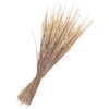 Gedroogde bloemen "Phleum Pratensis" Natuur