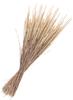Dried flowers "Phleum Pratensis" 