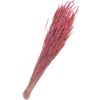 Gedroogde bloemen "Phleum Pratensis" Roze