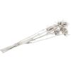 Dried flowers "Card thistle" White
