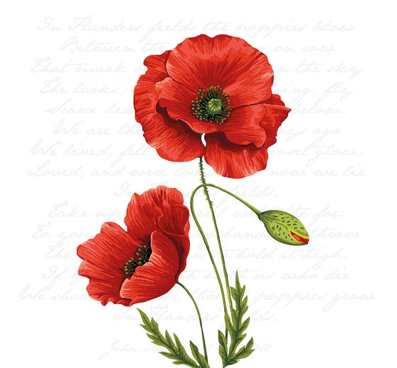 Serviette "Leuchtender Klatschmohn"