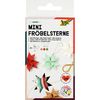 Mini moravische sterren Winter