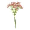 VBS Gipskruid bos "Florissa"