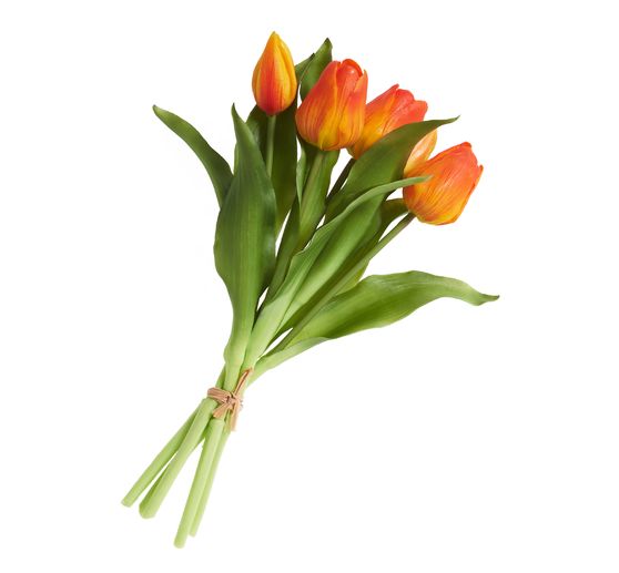 Tulpen bos met 3 bloemen en 2 knoppen