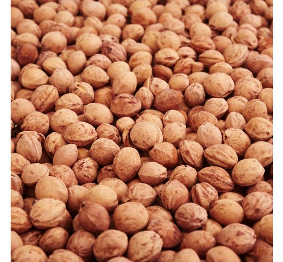 Kirschkerne 500g