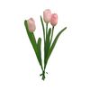 Tulp enkelvoudig Roze