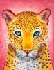 Painting by numbers on stretched canvas, 30 x 40 cm