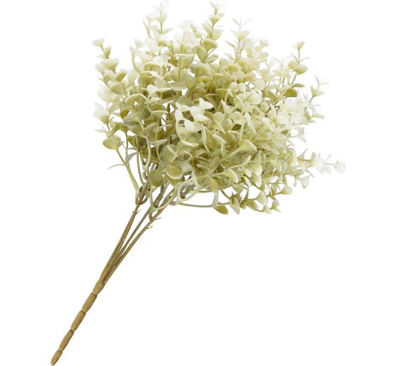 Buchsbaum Zweig "Evergreen"
