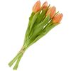 Tulpen bos met 3 bloemen en 2 knoppen Salmon