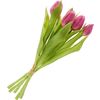 Tulpen bos met 3 bloemen en 2 knoppen Fuchsia