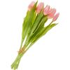 Tulpen bos met 3 bloemen en 2 knoppen Light Rose
