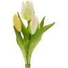 Tulpen-Bund "Sally" Cream