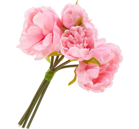 Pioenroos met 5 bloemen