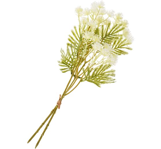 Inflorescence branch