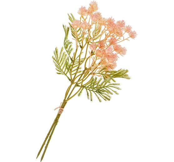 Inflorescence branch