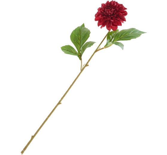 Dahlia "George Spray