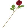Dahlia "George Spray Bordeaux