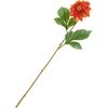 Dahlia "George Spray Oranje