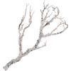 Decoratieve tak Wit