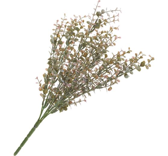 Eukalyptus-Busch