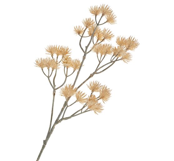 Bloeiwijzetak "Liliana"