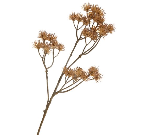 Bloeiwijzetak "Liliana"