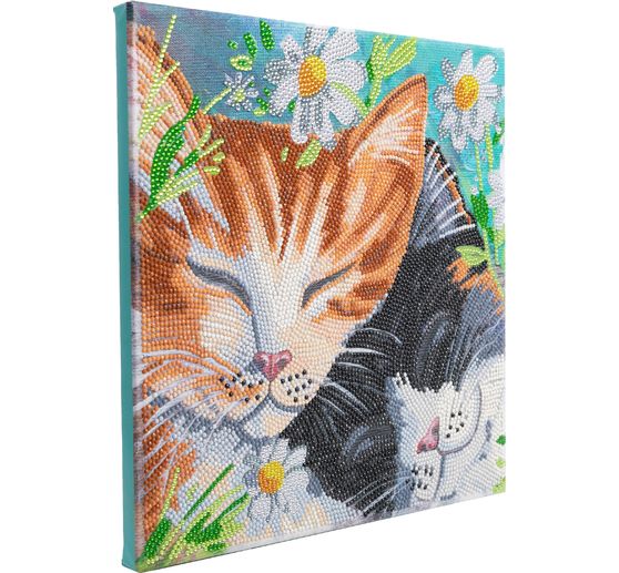 Diamond Painting &laquo; Crystal Art Kit &raquo;, 30 x 30 cm