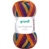 Laine Gr&uuml;ndl &laquo; Lisa Premium color &raquo; Couleur 29