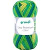 Laine Gr&uuml;ndl &laquo; Lisa Premium color &raquo; Couleur 27
