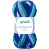 Laine Gr&uuml;ndl &laquo; Lisa Premium color &raquo; Couleur 33