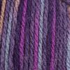 Gründl Wol "Lisa Premium Color" Bramen/Fuchsia/Purple, Kleur 04