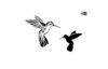 Stencil "Hummingbirds"